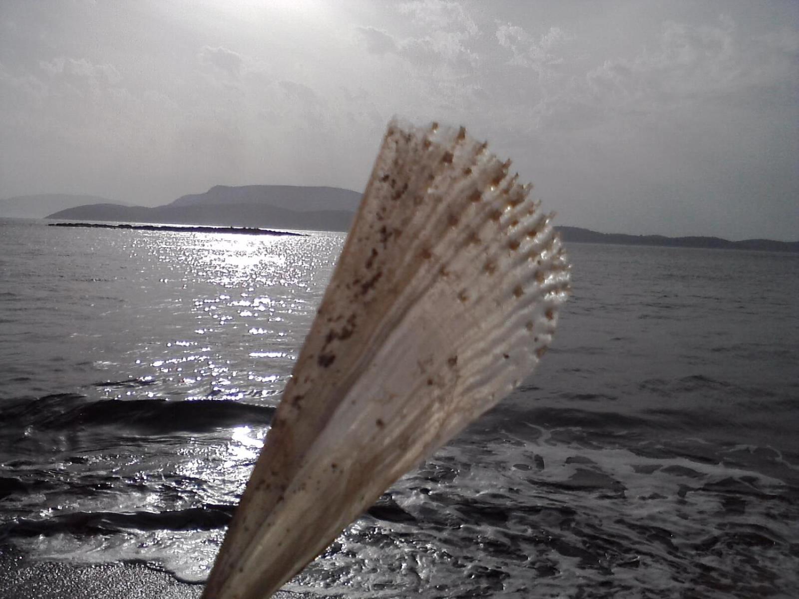 Armonia By Grispos Villas Schoinoussa Buitenkant foto