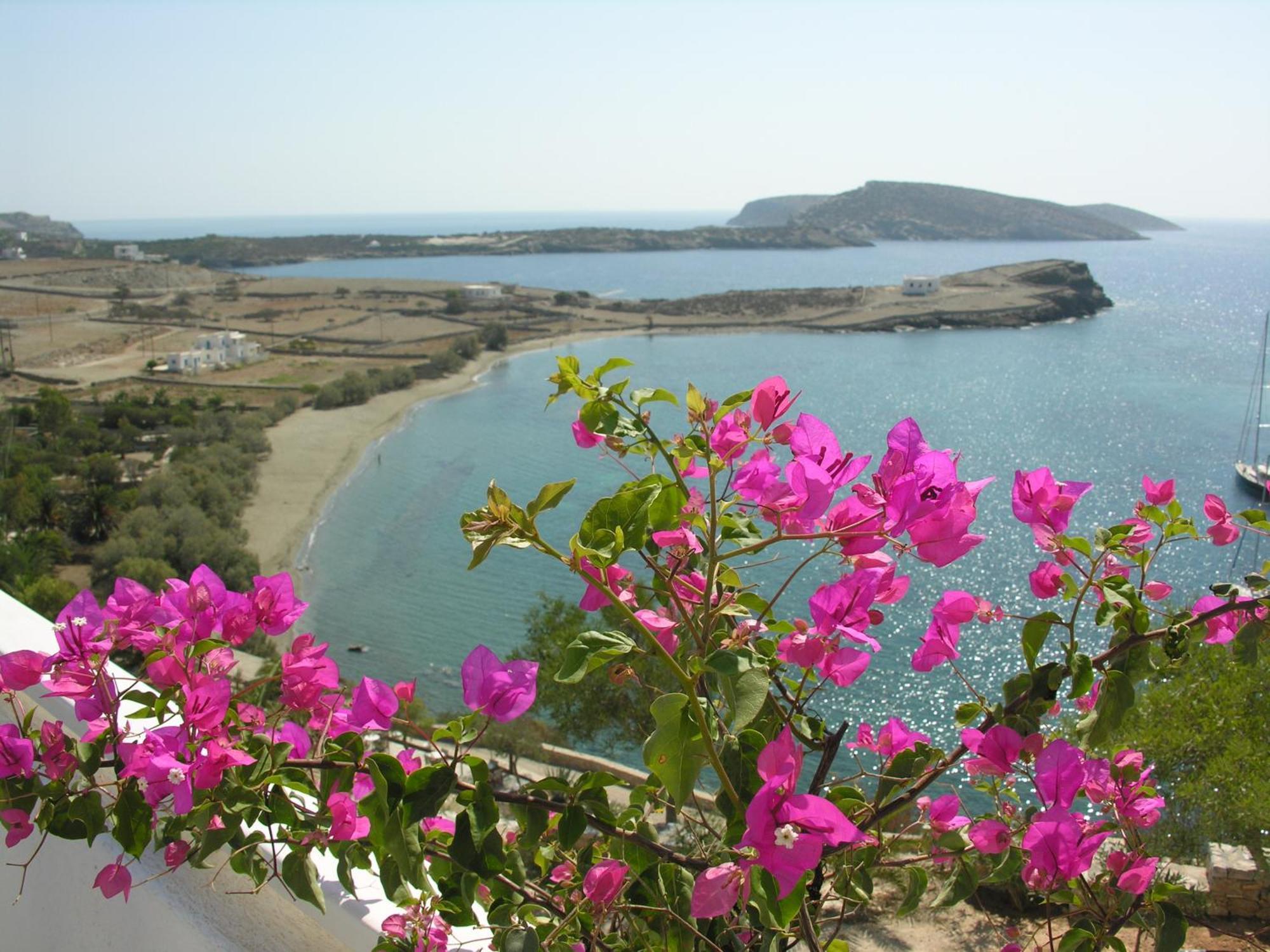 Armonia By Grispos Villas Schoinoussa Buitenkant foto